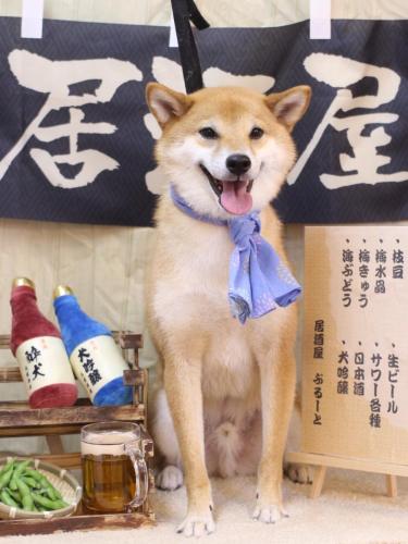 20240612シュウくん